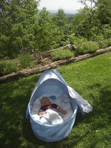 Baby siesta time